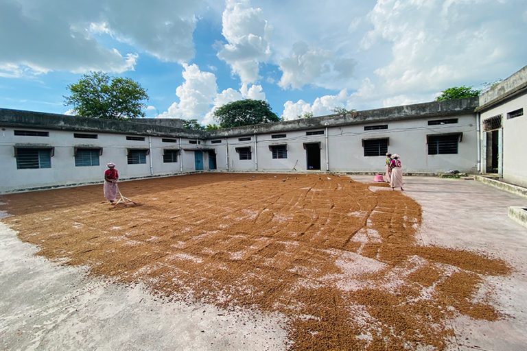 Shellac, Seedlac, Lakh Dana Manufacturers & Exporters from India